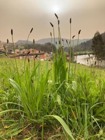 El Mirador Del Nalon Hotel Candamo ภายนอก รูปภาพ